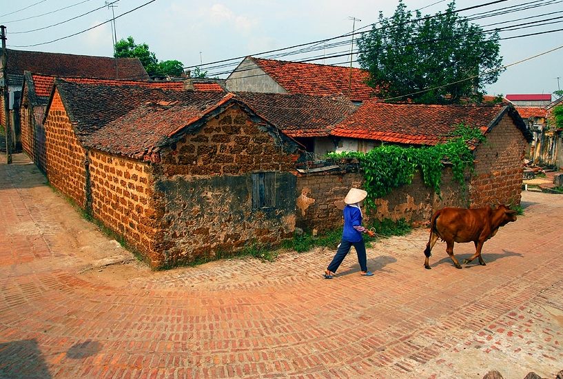 LPC Travel - LaPace Travel - Tonkin Legacy - Explore Duong Lam Ancient Village - Quang Phu Cau Incense Village 3