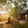Tonkin Legacy: Explore Duong Lam Ancient Village & Quang Phu Cau Incense Village