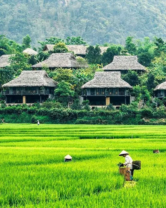 mai-chau-hanoi-LPC Travel - LaPace Travel - Inbound tour- Vietnam 15 Days-Cultural Heritage-Endless Beaches-MUI NE